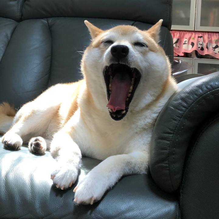 7eff9281 e568 4899 aefb 6cac09b37da5 1592354755588