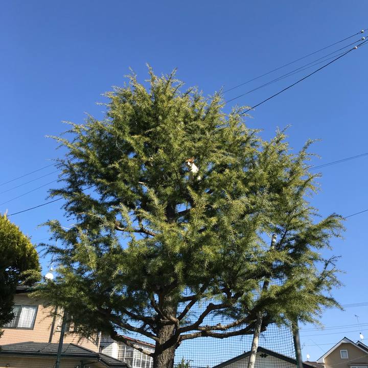 7eff9a18 554b 4e82 a45b cc3781d18590 1511756182001