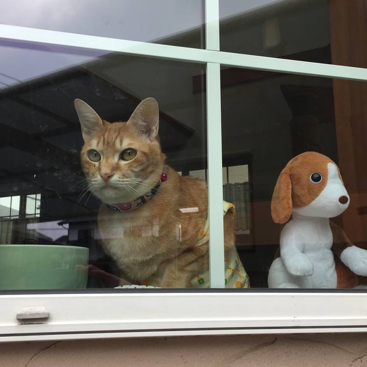 7efff080 7f01 464c 8eb1 4a335088ca8b 1517664938921