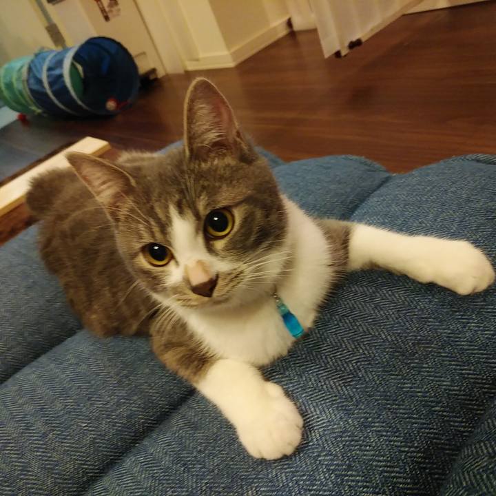 7efff3e7 5cbc 4c53 b712 c732d5dea3e4 1572532436884