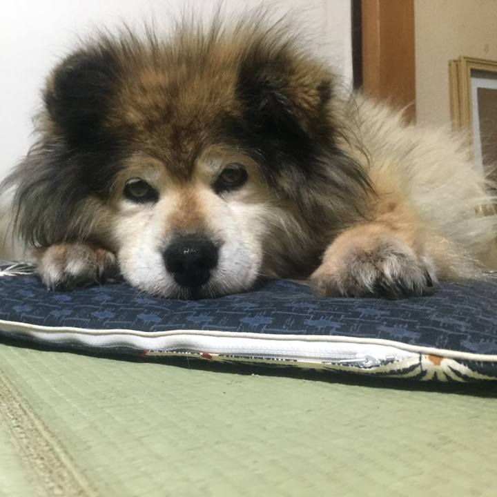 7f002726 73d0 46c1 9bf5 c04a9f542b6d 1594518910060