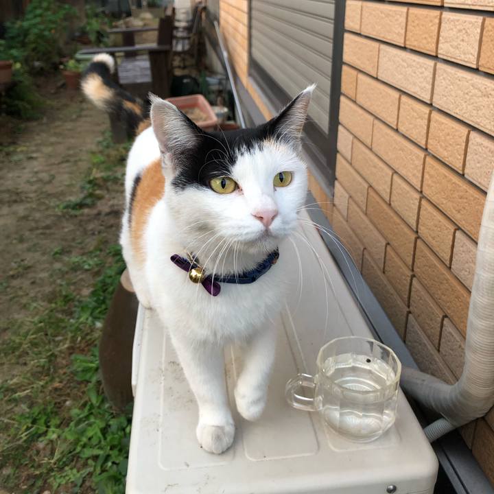 7f00297c 2fd6 4564 8f54 72ec40fc3e52 1635373370156