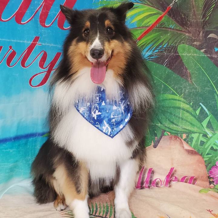 7f003b63 40a8 4194 86ac a296c897509b 1631399254101