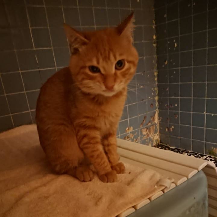 7f00521c 7fcb 432d 90f5 18df4416f6e0 1635760582456