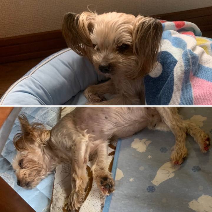 7f006a86 e636 4fa8 9daf cf310a128f8f 1661938614168