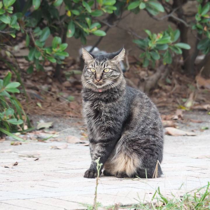 7f006f37 9407 46b7 9eec 7122ab51a2fb 1537434395173