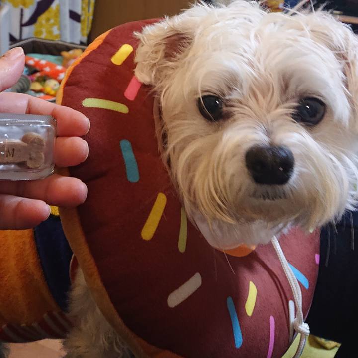 7f00918d ce18 4588 b7c3 b4fc00b512b8 1607348173882