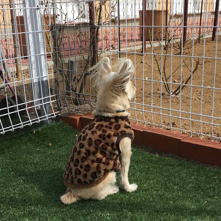 7f009ae5 befa 43ab bcb4 a2047ac60432 1520414928417