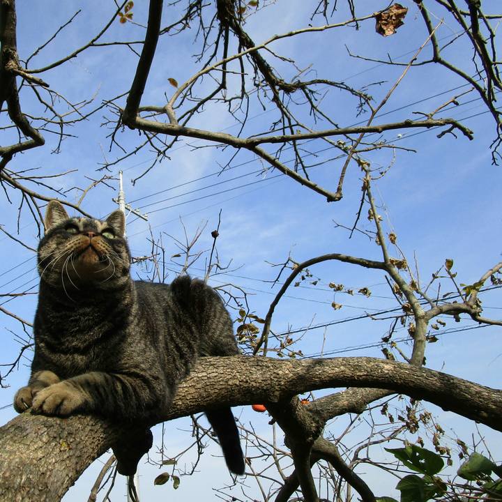 7f00caeb 50c5 4974 836d 95ac56dcd2b1 1511446469127