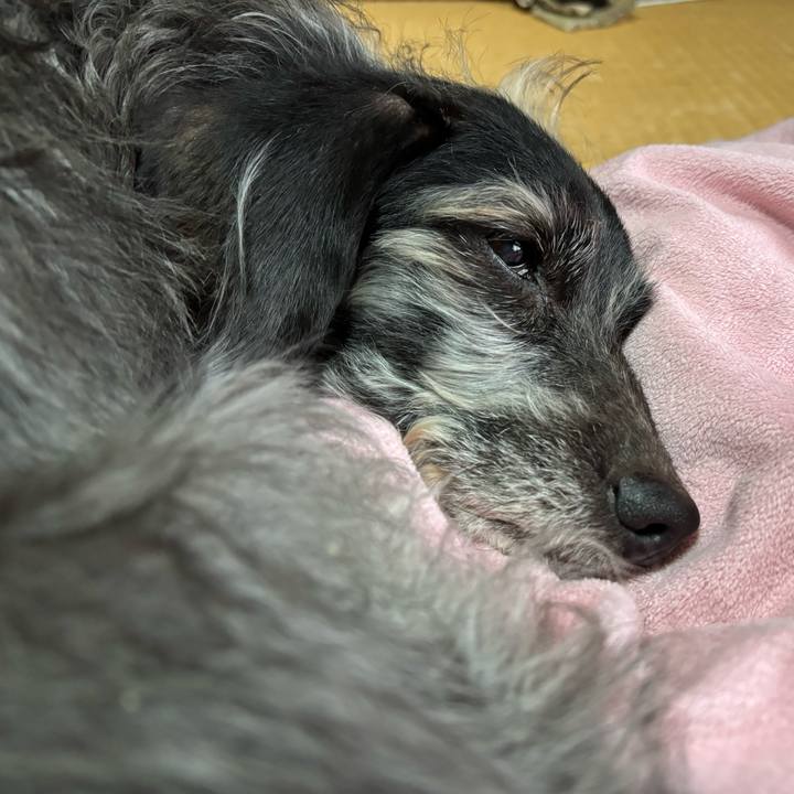 7f00cda2 f59e 4514 93b0 683379e58fac 1735169672945