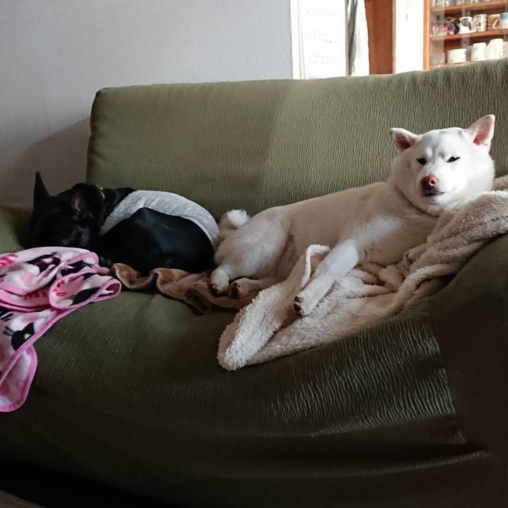 7f00db66 a89b 42e8 8304 2a7f454bc4b9 1579849855462