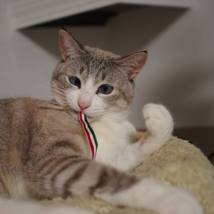 7f00f0fd c91c 4cb2 b6dd 209755c2d099 1548243954429