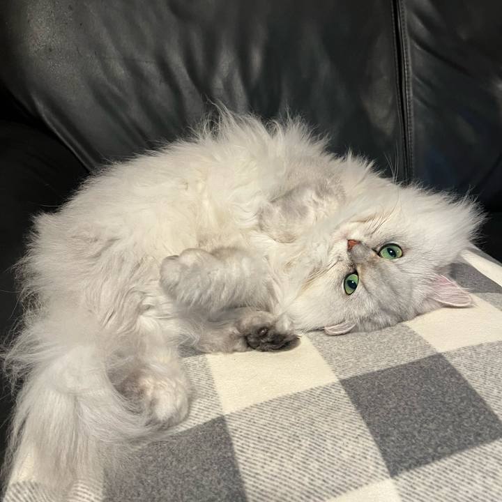 7f00f398 d01f 493b a458 ec2c34e3a5f9 1639183543785