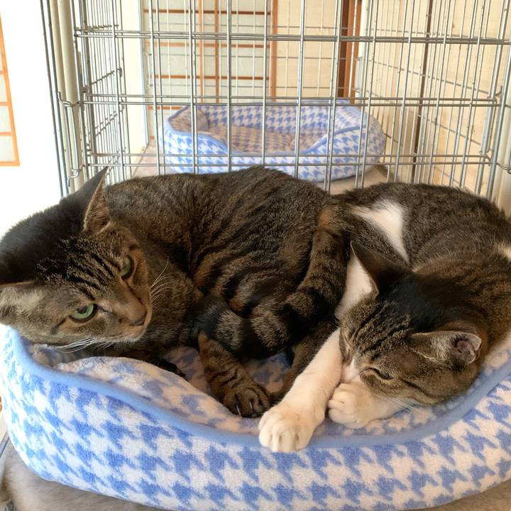 7f0117c0 a02b 4dc7 882a d70ed378bb26 1599008802667