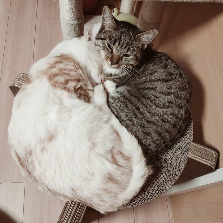 7f011d0f 3a2a 427e 9fb0 3b205f6e4288 1646097322280