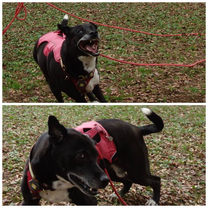 7f013a58 7a3a 41c2 8dde baac9826f3c7 1700008969252