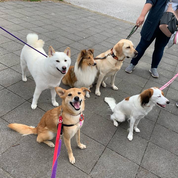 7f015c78 c9bb 4822 9b70 7f3e7e65494b 1572176177121