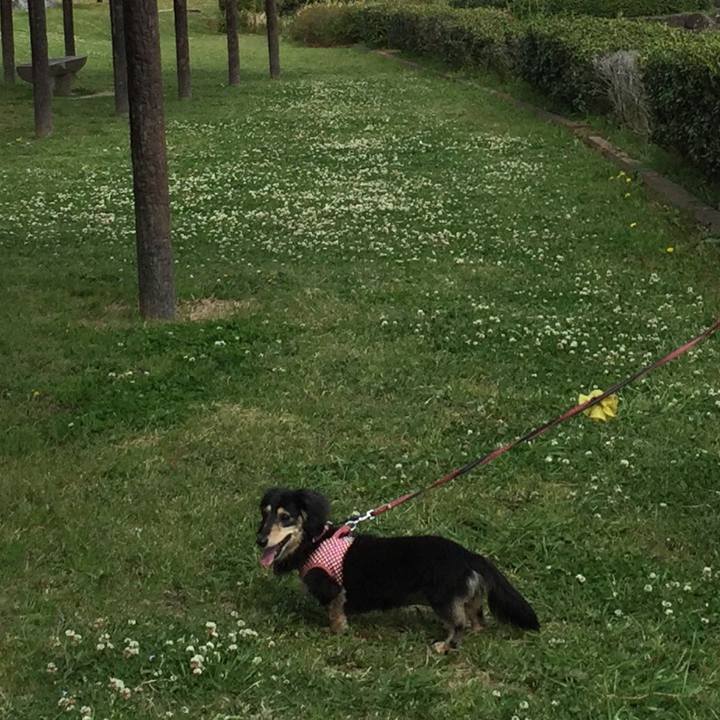 7f016d85 08c8 4d8e ad38 acb87db18807 1588316743669