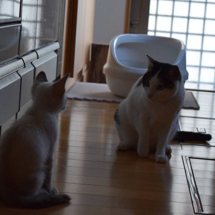 7f01a7f7 87c6 419e 99e4 ca6352b4916b 1721690474731