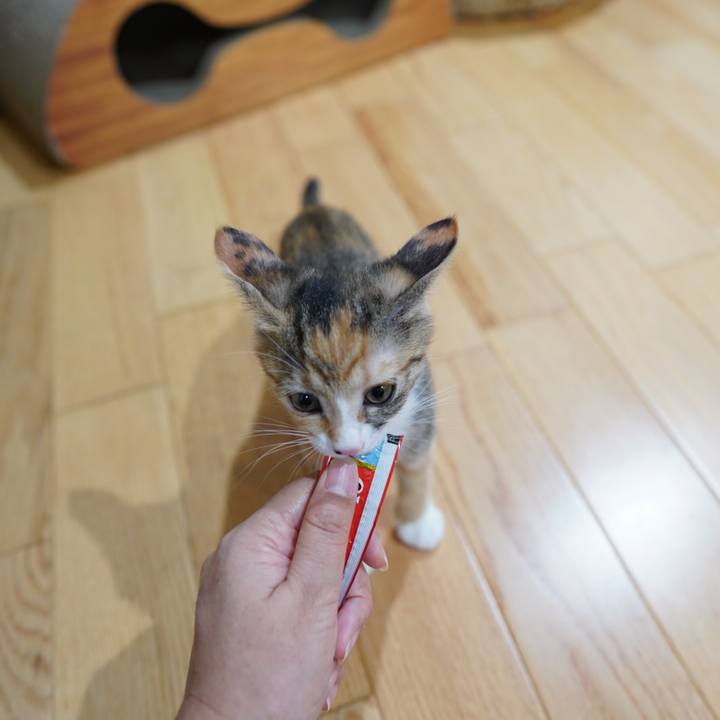 7f01b879 0a0a 434b ae36 af1013322437 1568298340330