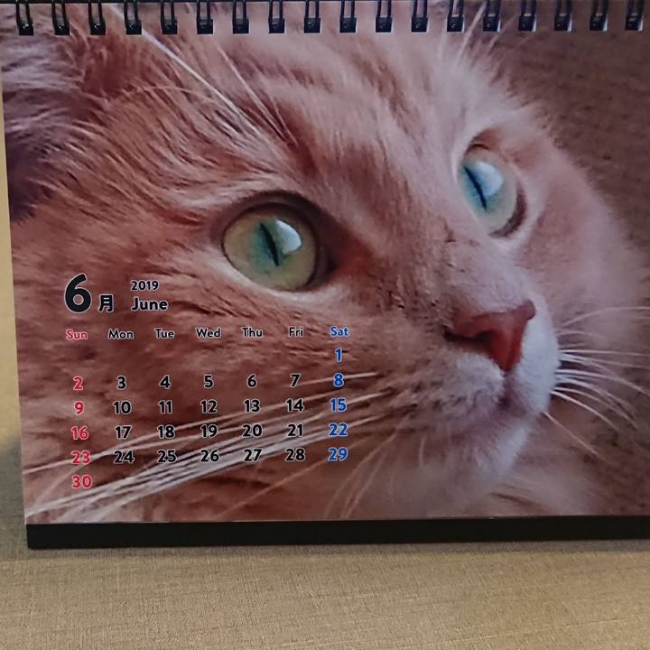 7f01e2ce 6c16 4125 b08b c9a0c92d5422 1561823112654