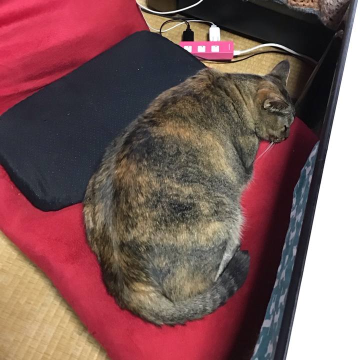 7f020c5d fd8e 4007 a6d8 744f8c14310a 1756940913438