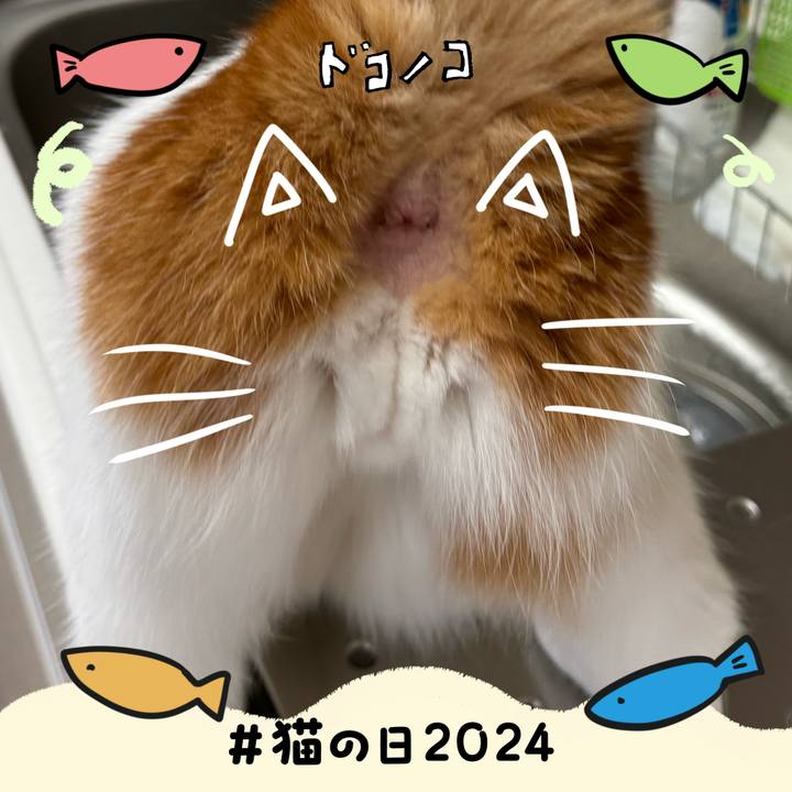 7f023da3 ec8f 426e aaa9 a2652447a9bf 1708572843032