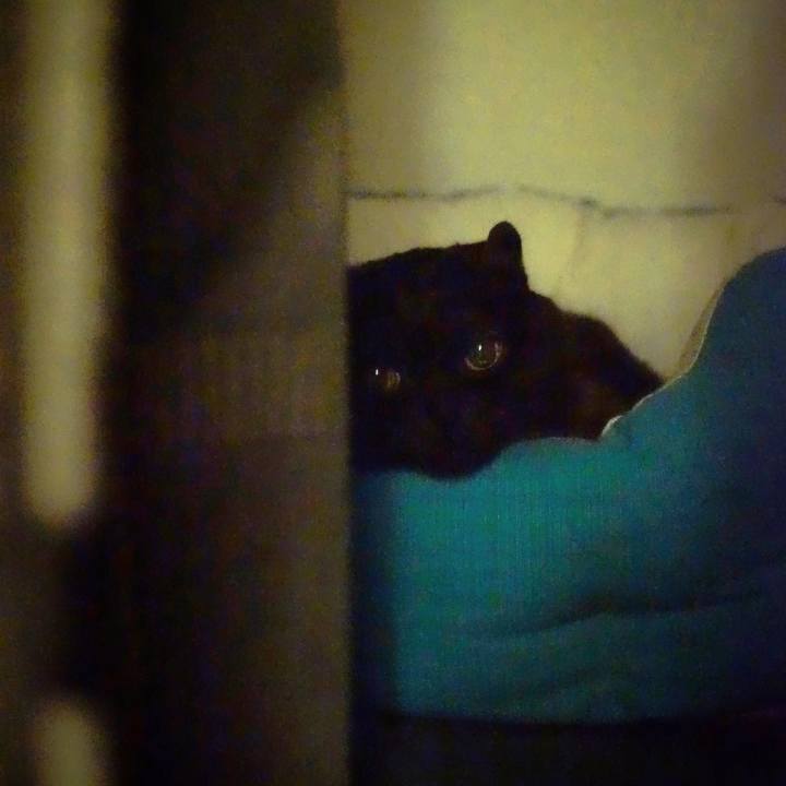 7f0271d4 335a 4eb9 b216 056d13a02892 1560875232404