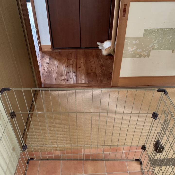 7f02bb3e 7802 4126 a2e5 c35745fdaf3b 1624932248442