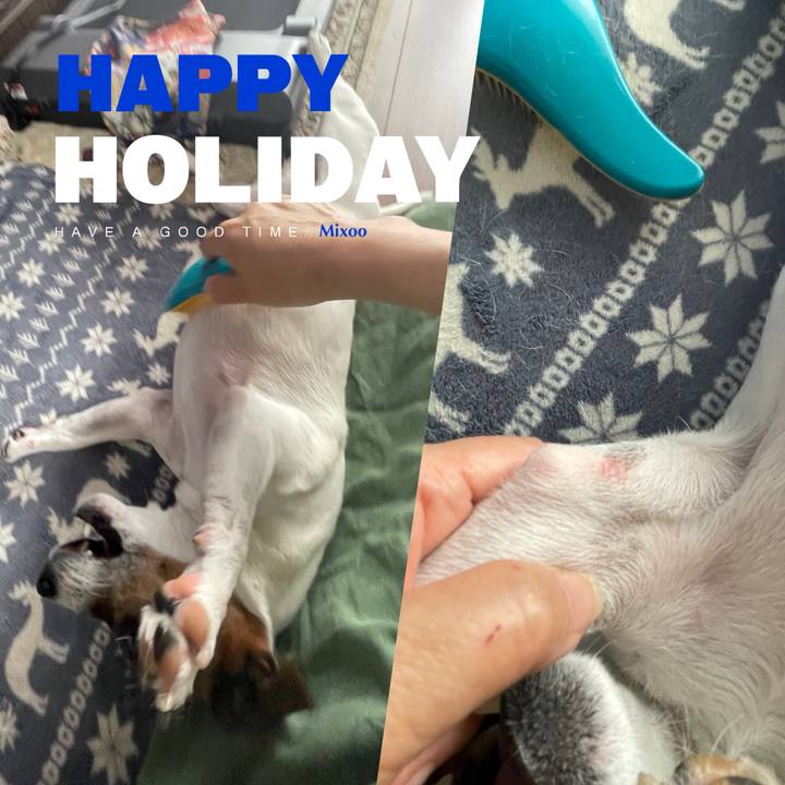 7f02bb59 2990 419b a5ed 37e4358b0c41 1748742964923