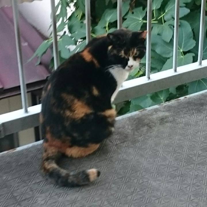 7f02e7c6 a9b8 4e0d b169 03b18f0bc3e1 1510198845343