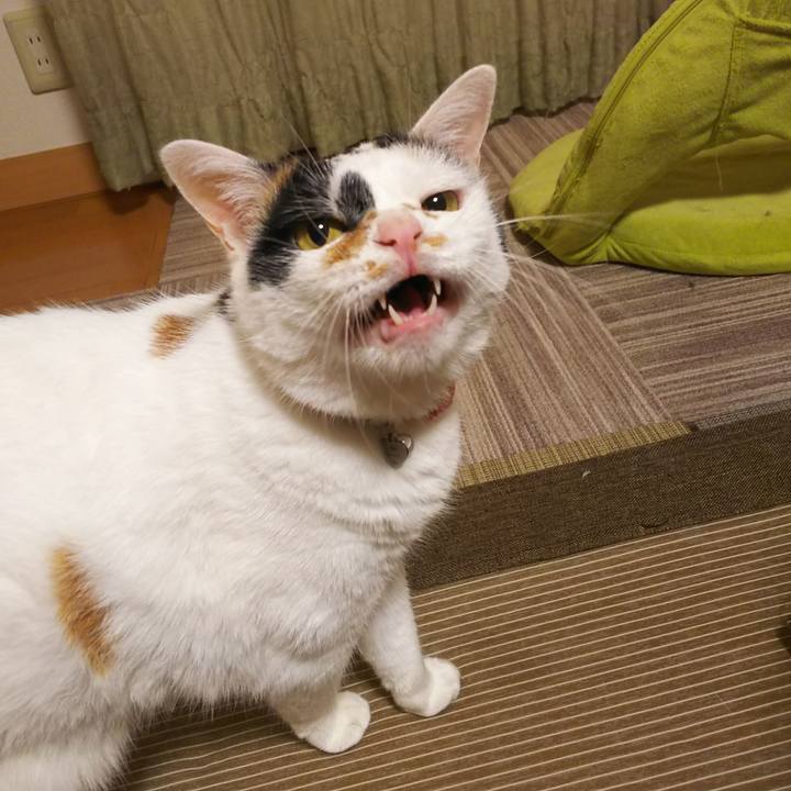 7f02ffb0 69f0 494d ad6a 3e1e4c77b876 1568984851518