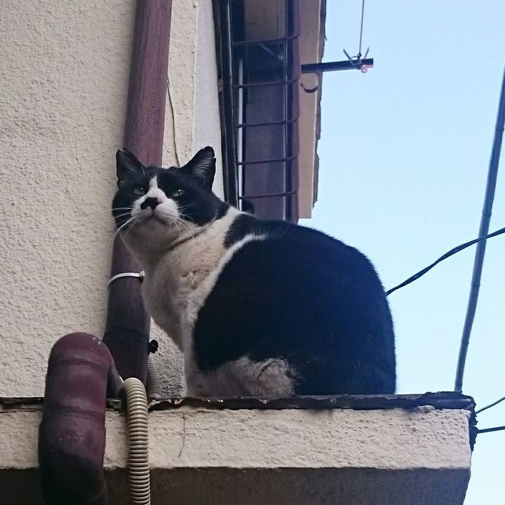 7f0312cc 74df 4df5 a4a7 dd0540d348aa 1522626933841