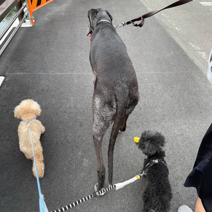 7f033004 fcb4 419d 9f70 6653d113d4d4 1624749225600