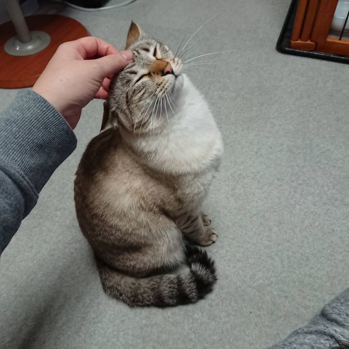 7f03583d 21e4 4f4f 966a 985999ceaa8c 1519211821530