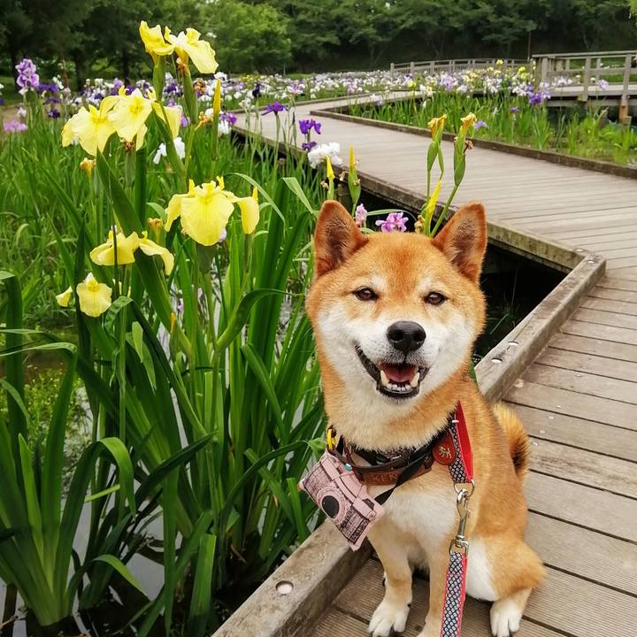 7f036ae3 4244 4cb7 93d5 7eeb884e0c20 1591228740461