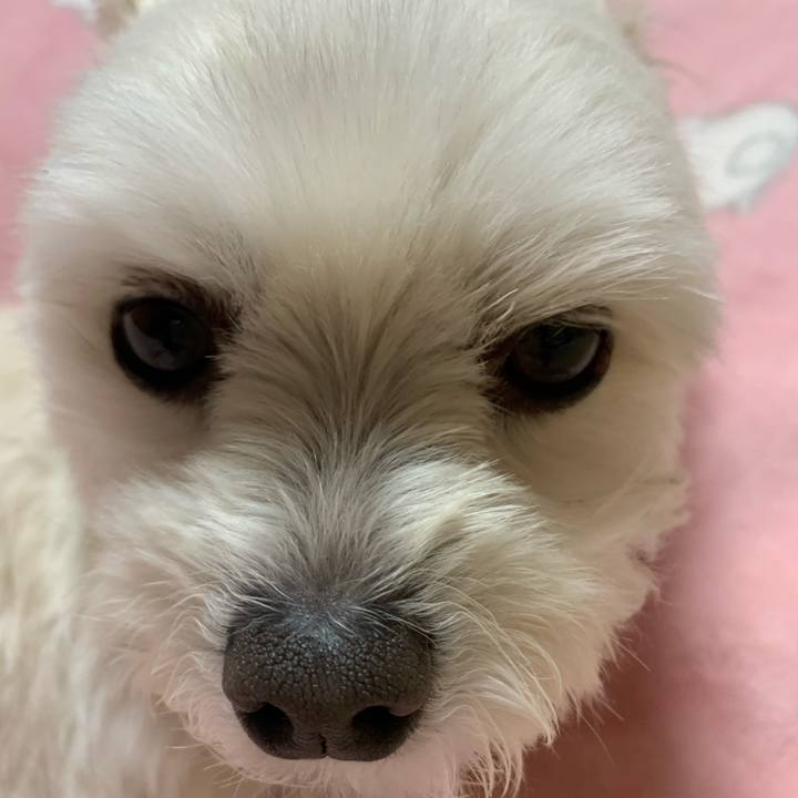 7f03718d d78f 49cf a647 25b6059ae534 1580815070881