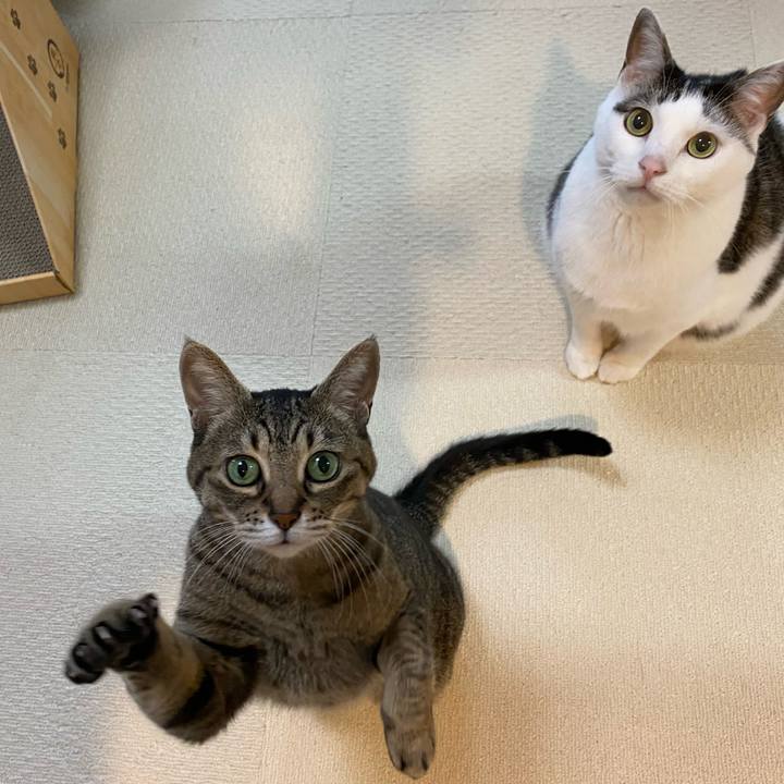 7f03e8a8 5d14 4cb8 819f a2437e441fa2 1773812320613