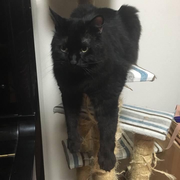 7f03eb66 116f 4248 b40d 23c7df6420d4 1565097259187