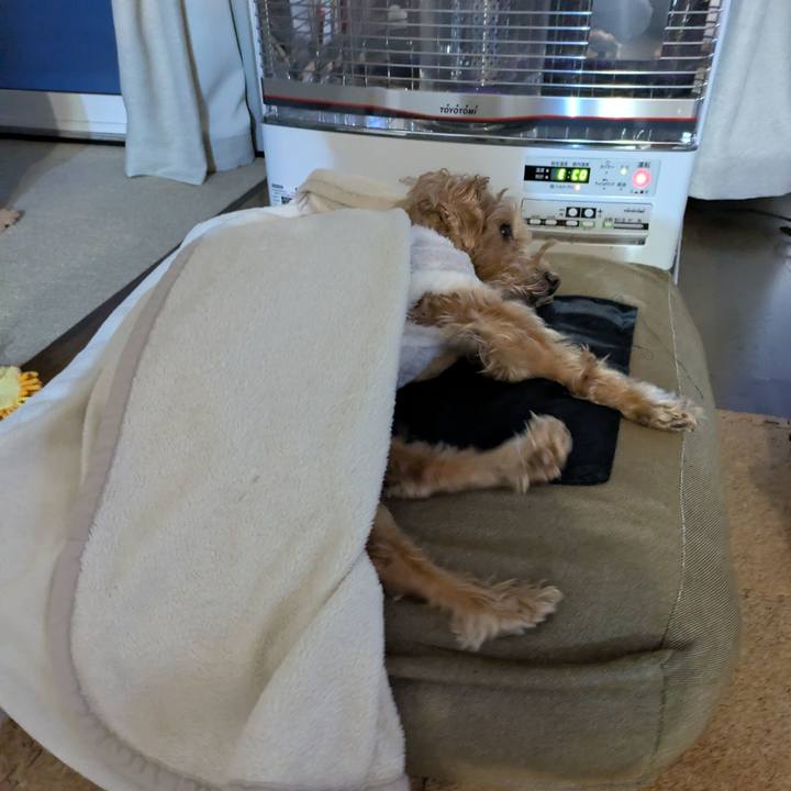 7f03ecdd c6df 4b47 9b63 bbf6e7a7abf1 1771449066269