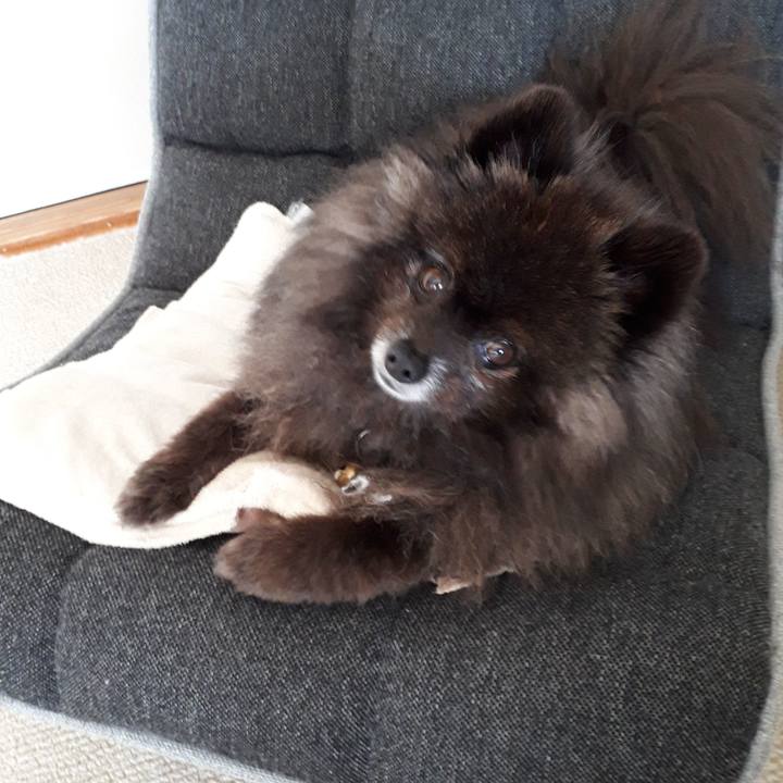 7f04411b 5265 41b2 a56e 9f503d6896ac 1521763299940