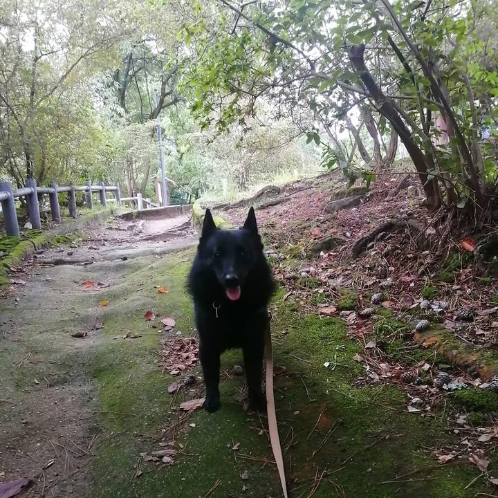 7f04a038 5f63 470e b043 c17c5ee16c8c 1631482085340