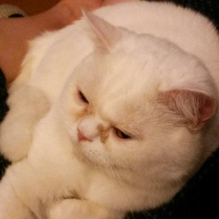 7f04d15e 8b61 4b6f 8578 e3818ba9461e 1542783675435