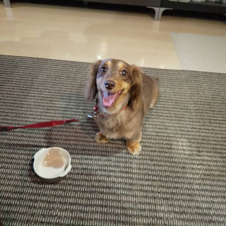 7f054a0a 40ab 4f5b ad90 ab9a78a3ca89 1562464609505