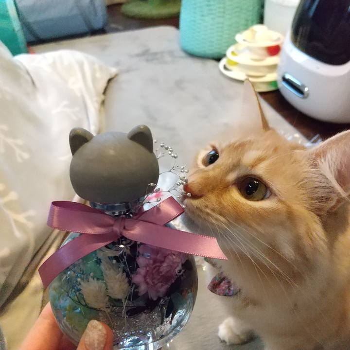 7f05c68f 8bd9 4f85 853b b6543a940d59 1639897919492