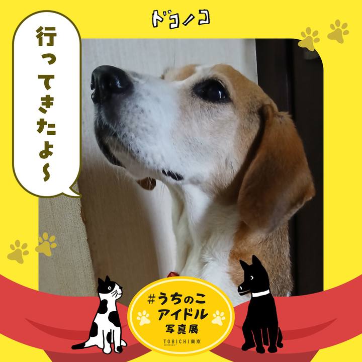 7f05cf34 2be9 4f31 9aec f0a05ee7e37d 1761649961703