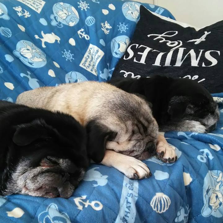 7f05d1e9 4e28 44d6 86b7 29a74af4f6ef 1533198134203