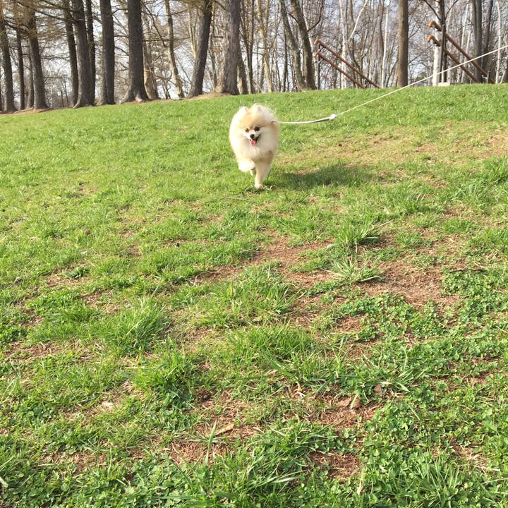 7f062eb3 16d1 4e8b b147 222457d408e3 1524472276970