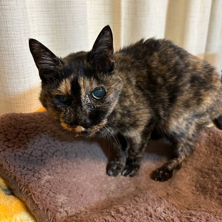 7f063ca1 c8d4 412c bb74 71cbd82221b5 1673510249147