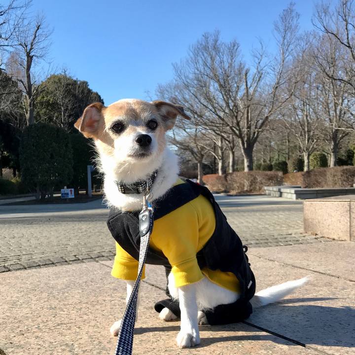 7f0652db 8c7d 4417 aafd 224ec484d354 1642836606525